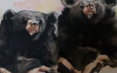 Expositie frans Verpalen