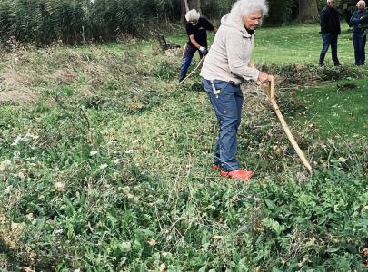 Biodiversiteit op het kerkhof